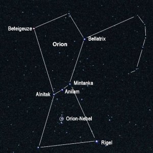 Der Orion